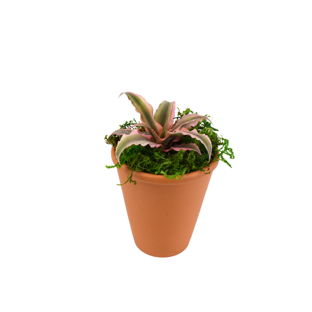 2.5" Earth Star Artificial