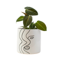 4" Philodendron Black Gold Melanochrysum Artificial